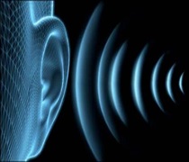 آخرین رتبه قبولی شنوایی شناسی پردیس خودگردان